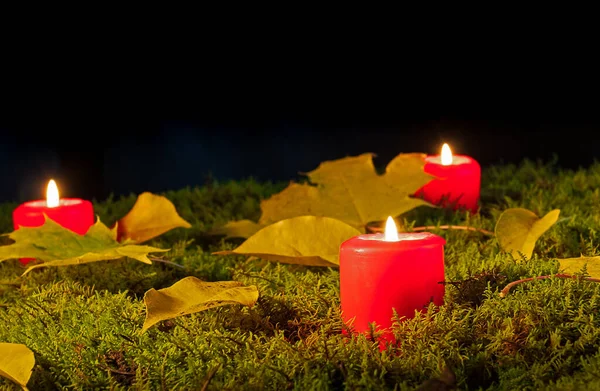 Autumn Theme Red Candles Burn Moss Fallen Leaves — Stock Photo, Image