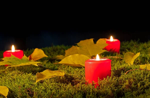 Tema Otoño Velas Rojas Arden Entre Musgo Hojas Caídas — Foto de Stock