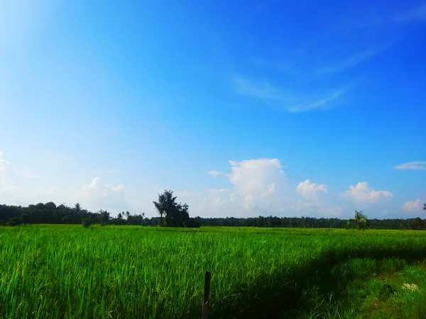 Ontkoppelde Abstrack Achtergrond Van Veld Met Lucht — Stockfoto