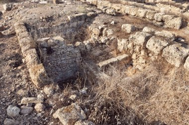 Antik Fenike şehri Tel Shikmona 'nın kazıları, Akdeniz kıyılarında, Hayfa kenti yakınlarında, İsrail' in kuzeyinde.