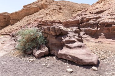 Eilat şehrinin yakınlarındaki bir doğa koruma alanında inanılmaz güzel bir manzara - Güney İsrail 'deki Kızıl Kanyon,