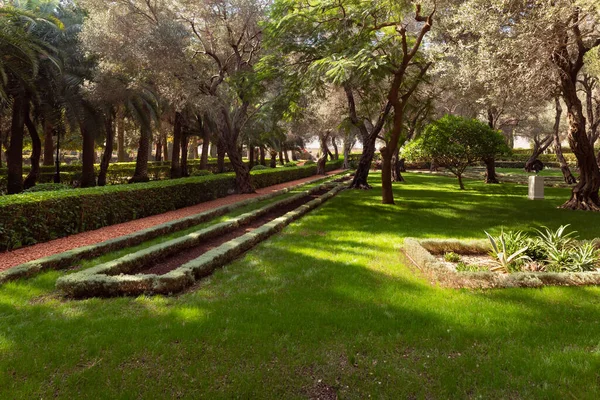 イスラエル北部のハイファ市のカーメル山に位置するバハイ庭園の雄大な美しさ — ストック写真