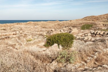 Antik Fenike şehri Tel Shikmona 'nın kazıları, Akdeniz kıyılarında, Hayfa kenti yakınlarında, İsrail' in kuzeyinde.