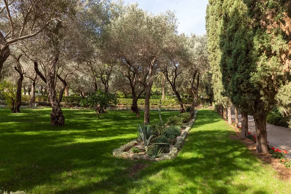 位于以色列北部海法市卡梅尔山上的巴哈花园的雄伟美丽 — 图库照片