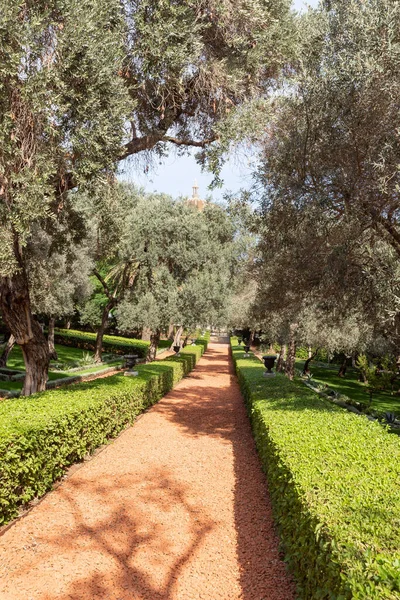 位于以色列北部海法市卡梅尔山上的巴哈花园的雄伟美丽 — 图库照片