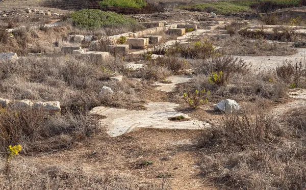 Utgrävningar Den Antika Feniciska Staden Tel Shikmona Vid Medelhavets Stränder — Stockfoto