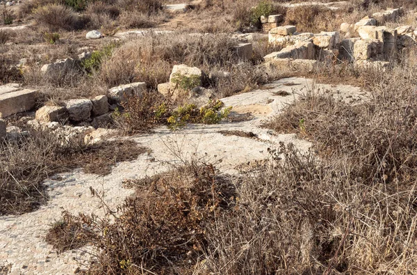 Ausgrabungen Der Antiken Phönizischen Stadt Tel Shikmona Ufer Des Mittelmeeres — Stockfoto