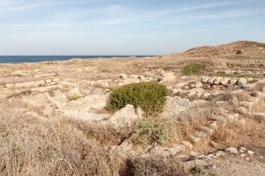 Antik Fenike şehri Tel Shikmona 'nın kazıları, Akdeniz kıyılarında, Hayfa kenti yakınlarında, İsrail' in kuzeyinde.