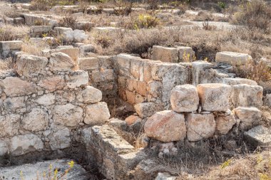 Antik Fenike şehri Tel Shikmona 'nın kazıları, Akdeniz kıyılarında, Hayfa kenti yakınlarında, İsrail' in kuzeyinde.
