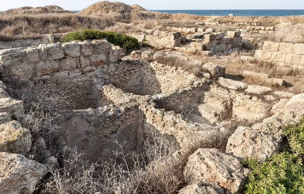Opgravingen Van Oude Fenicische Stad Tel Shikmona Aan Oevers Van — Stockfoto