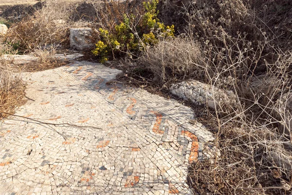以色列北部海法市附近地中海海岸Tel Shikmona一座6世纪东正教教堂的古老镶嵌画的遗迹 — 图库照片