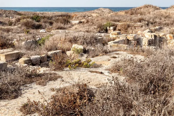 以色列北部海法市附近地中海沿岸的古腓尼基城Tel Shikmona的挖掘 — 图库照片