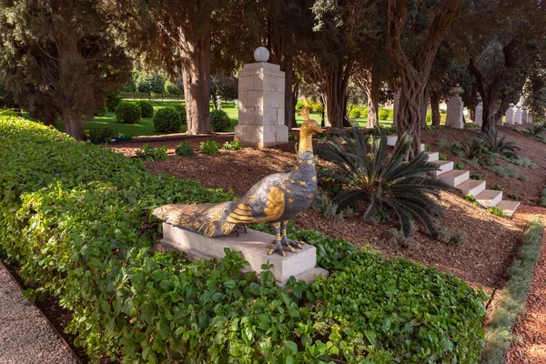 Haifa Israel Novembro 2021 Pavão Decorativo Bronze Está Pedestal Jardim — Fotografia de Stock