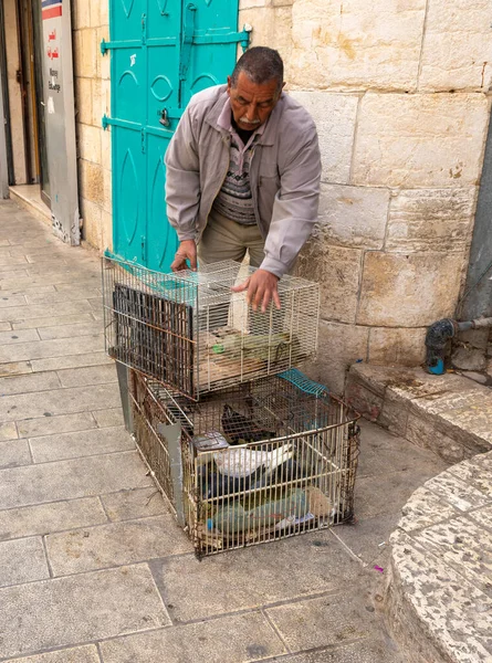 Bethlehem Israel December 2021 Street Vendor Stands Cages Carrier Pigeons — Zdjęcie stockowe