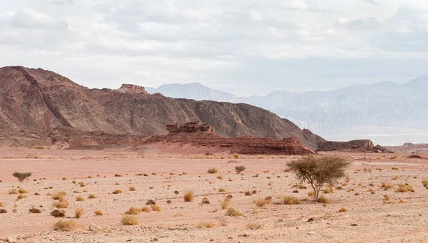 Fantasticamente Bela Natureza Montanhosa Parque Nacional Timna Perto Eilat Sul — Fotografia de Stock