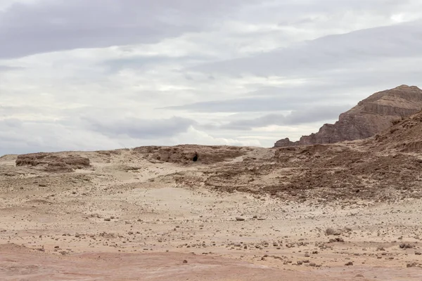 Fantasticamente Bela Natureza Montanhosa Parque Nacional Timna Perto Eilat Sul — Fotografia de Stock