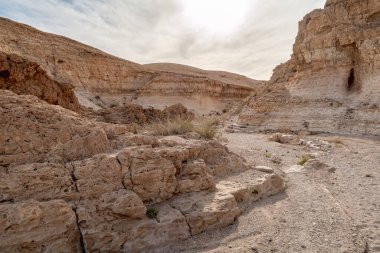 İsrail 'deki Kudüs yakınlarında, Ölü Deniz' in İsrail yakasındaki Tamarim deresinin yakınındaki Musevi Çölü 'ndeki dağlar.