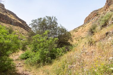Kinneret Gölü kıyılarında yer alan Arbel Dağı 'nın yamacı olan küçük eğri ağaçlar, çimenler ve çalılarla kaplıydı. Kuzey İsrail' de Tiberias kenti yakınlarındaki Celile Denizi..