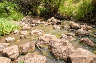 Arbel Nehri, Kinneret Gölü kıyısında yer alan Arbel Dağı 'nın altından akar. Kuzey İsrail' deki Tiberias kenti yakınlarında bulunan Celile Denizi.
