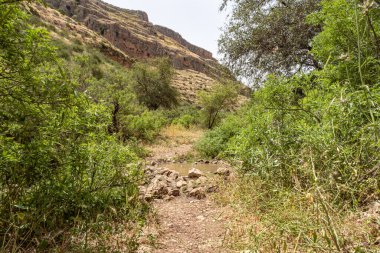 Arbel Nehri, Kinneret Gölü kıyısında yer alan Arbel Dağı 'nın altından akar. Kuzey İsrail' deki Tiberias kenti yakınlarında bulunan Celile Denizi.