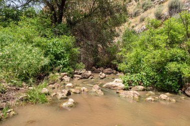 Arbel Nehri, Kinneret Gölü kıyısında yer alan Arbel Dağı 'nın altından akar. Kuzey İsrail' deki Tiberias kenti yakınlarında bulunan Celile Denizi.