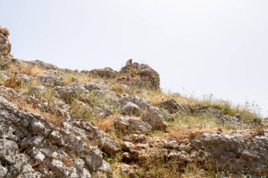 İsrail 'in kuzeyindeki Tiberias kenti yakınlarındaki Kinneret Gölü kıyılarında yer alan Arbel Dağı' nın çalı ve çalı ile kaplı yamacı..