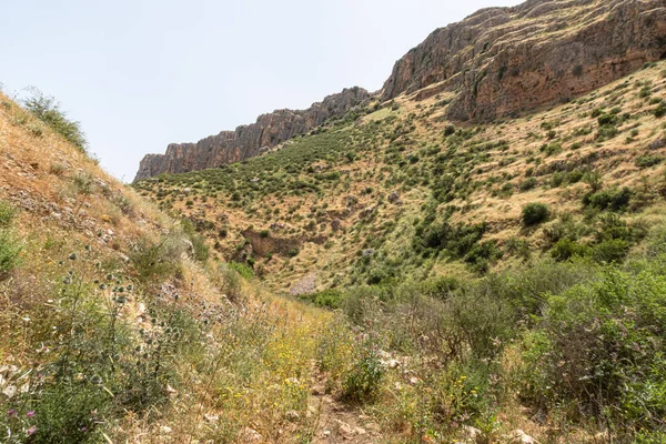 Planté Herbe Buissons Versant Mont Arbel Situé Sur Les Rives — Photo