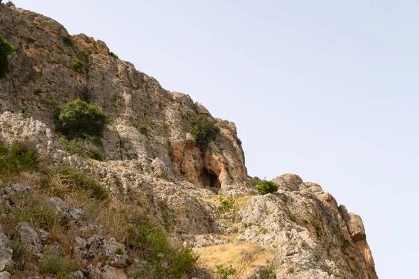 Overgrown Small Crooked Trees Grass Bushes Slope Mount Arbel Located — Stok fotoğraf