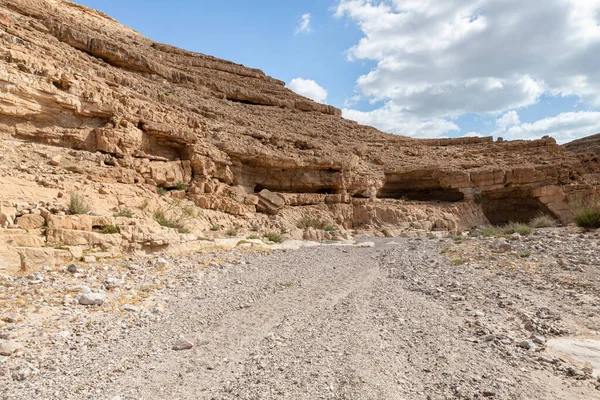 Lecho Seco Del Río Que Pasa Través Del Desierto Piedra —  Fotos de Stock