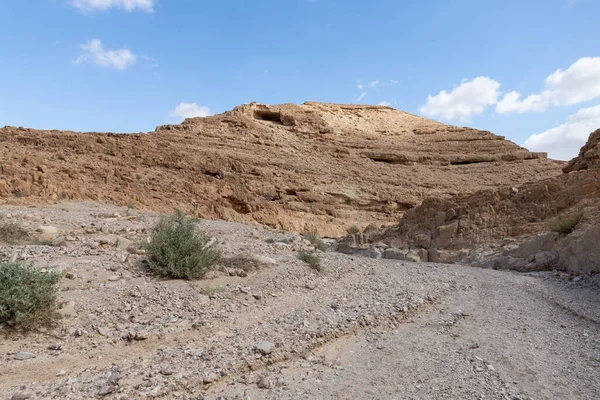 Kuru nehir yatağı Khatsatson deresinin yakınındaki taştan çölden geçiyor, İsrail 'deki Kudüs yakınlarında, Ölü Deniz' in İsrail tarafında.