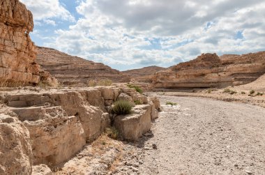 Kuru nehir yatağı Khatsatson deresinin yakınındaki taştan çölden geçiyor, İsrail 'deki Kudüs yakınlarında, Ölü Deniz' in İsrail tarafında.