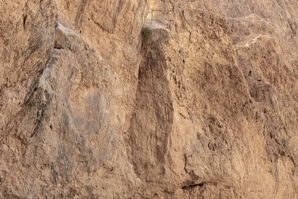Khatsatson Deresinin Yanındaki Taş Çöl Srail Deki Kudüs Yakınlarında Ölü — Stok fotoğraf