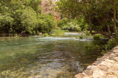 Kuzey İsrail 'deki ulusal parkın çevresindeki Hermon akıntısı