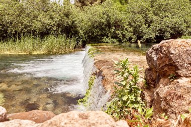 Kuzey İsrail 'deki ulusal parkın çevresindeki Hermon akıntısı