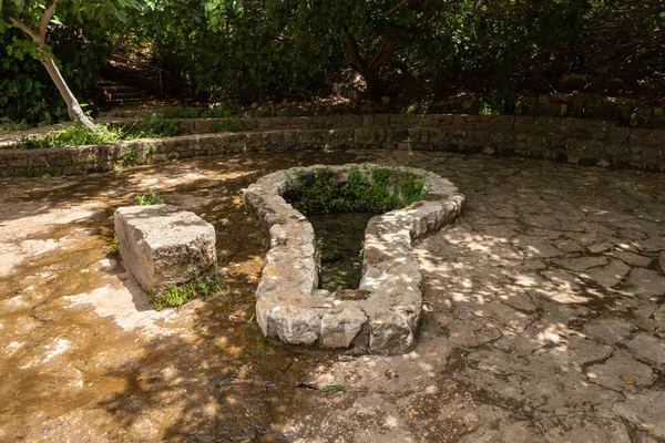 Ruins Temple Khirbat Panyas Banyas National Park Northern Israel — Stock Photo, Image
