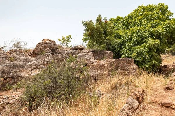 Kuzey İsrail 'deki Hermon Akıntısı Doğa Koruma Alanı' nda Doğa