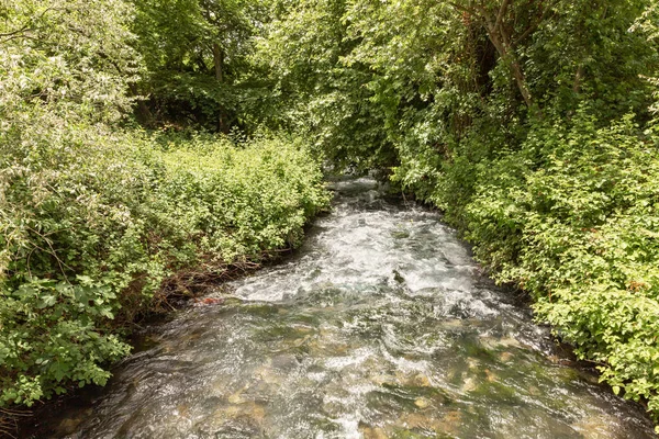Fast Flowing Hermon Stream Area National Park Northern Israel — Stock Photo, Image