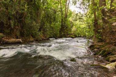 Kuzey İsrail 'deki ulusal parkın çevresinde hızlı akan Hermon akıntısı