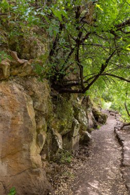 Kuzey İsrail 'deki Hermon Irmağı Doğa Koruma Alanı' ndan geçen yol.