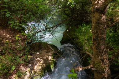 Kuzey İsrail 'deki ulusal parkın çevresinde hızlı akan Hermon akıntısı