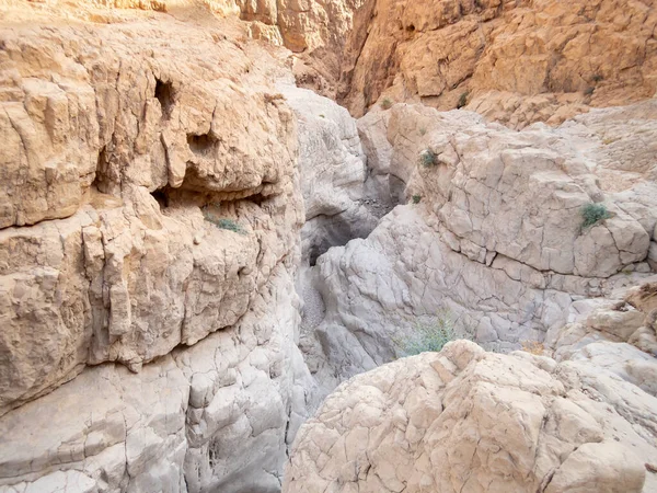 Deserto Pietra Vicino Torrente Rahaf Sul Lato Israeliano Del Mar — Foto Stock