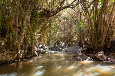 Kuzey İsrail 'deki Golan Tepeleri' nde yavaş akan Jalaboun deresi.