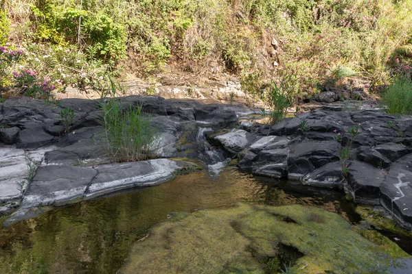 Naturaleza Garganta Negra Orillas Del Arroyo Zavitan Los Altos Del —  Fotos de Stock