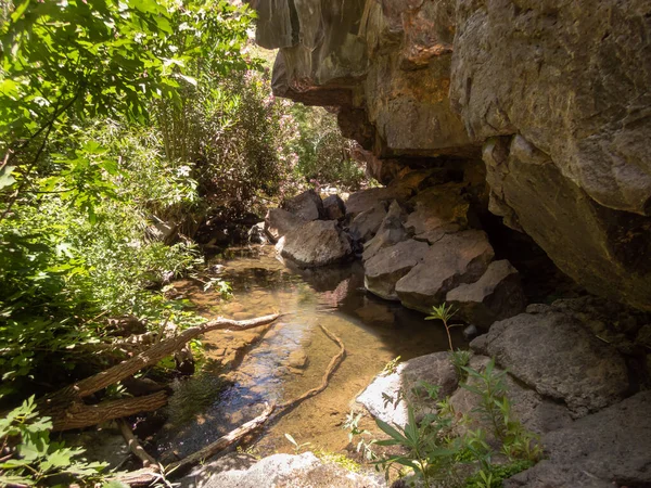 Naturaleza Garganta Negra Orillas Del Arroyo Zavitan Los Altos Del —  Fotos de Stock