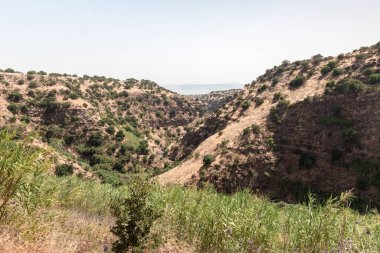 İsrail 'in kuzeyindeki Katsrin yakınlarındaki Golan Tepeleri' ndeki Zavitan deresinin kıyısındaki Kara Vadi 'de orman ve çimlerle kaplanmış tepeler.