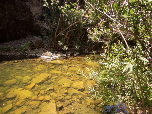 Naturaleza Garganta Negra Orillas Del Arroyo Zavitan Los Altos Del —  Fotos de Stock