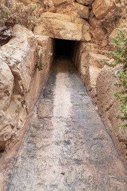Monfort Kalesi 'nin kalıntıları Shlomi şehrinden çok uzak olmayan kuzey İsrail' deki Galilee 'de ormanla kaplı yüksek bir tepede yer almaktadır.