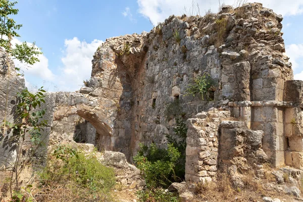 Ruins Monfort Fortress Located High Hill Overgrown Forest Far Shlomi — Stockfoto