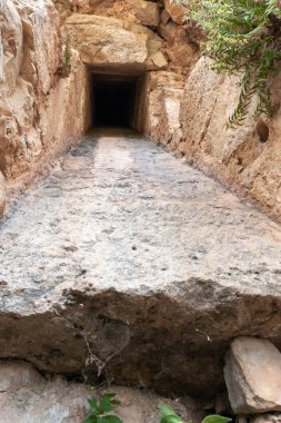 The ruins of the Monfort fortress are located on a high hill overgrown with forest, not far from Shlomi city, in the Galilee, in northern Israel