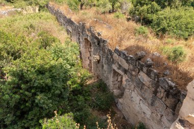 Kuzey İsrail, Celile 'deki Kibbutz Gaaton yakınlarındaki Gaaton Haçlı Kalesi' nin iyi korunmuş kalıntıları.